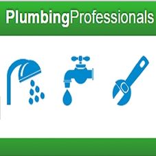 Plumbing Professionals logo