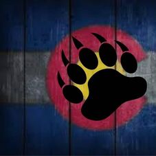 Bear Paw Construction & Roofing logo