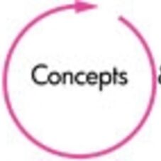 Organizing Concepts and Designs logo